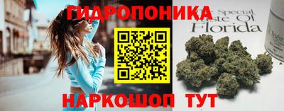 спиды Кимры