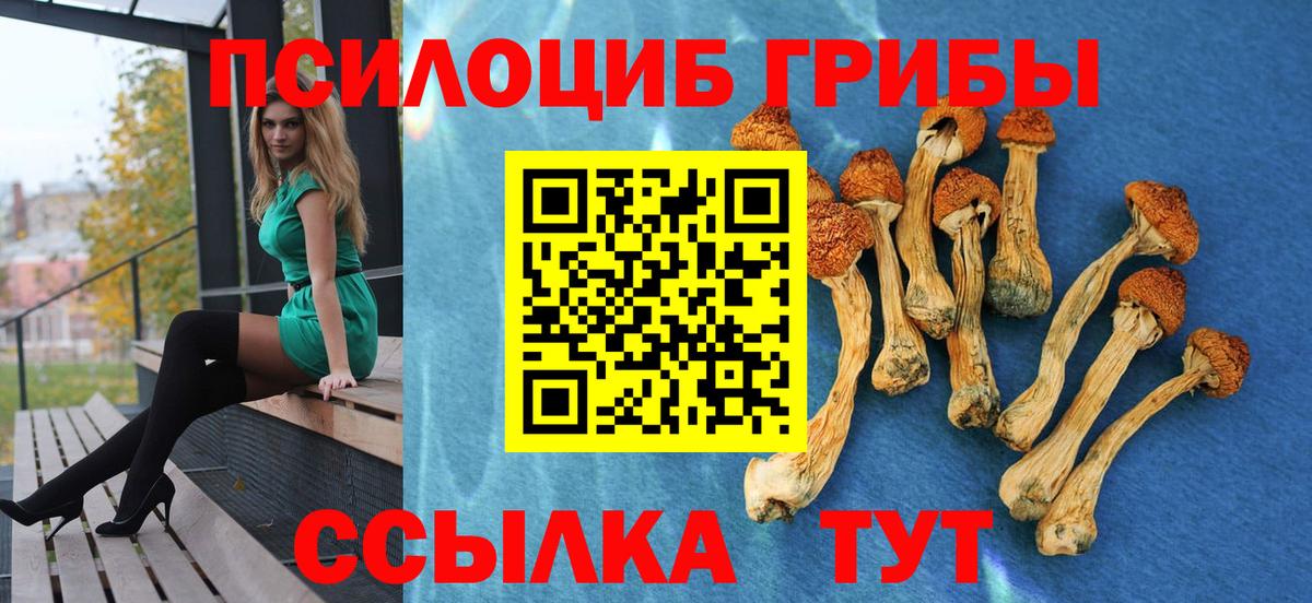 Галлюциногенные грибы прущие грибы Комсомольск-на-Амуре
